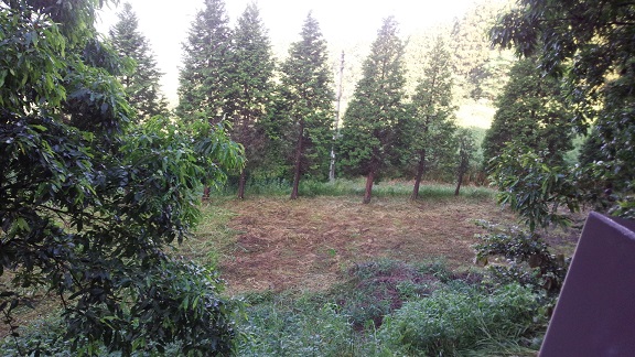 f0031420_942245.jpg