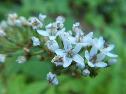 f0118332_22292082.jpg