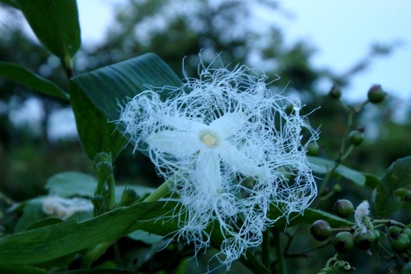 a0017634_5435762.jpg
