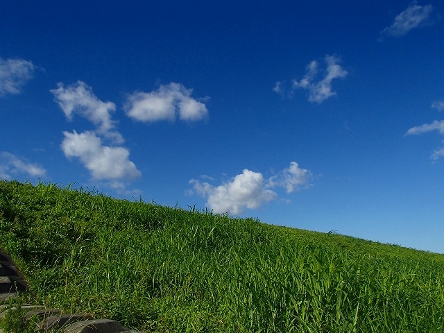 b0044663_16153578.jpg