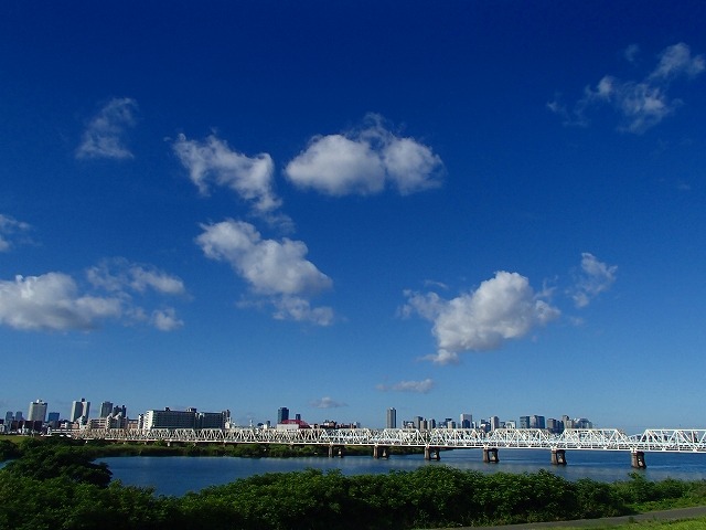 b0044663_16155074.jpg