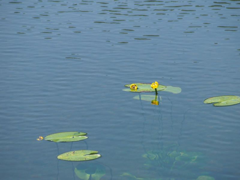c0321967_204022.jpg