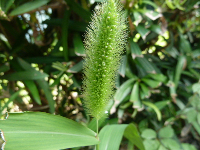 e0278968_21370928.jpg