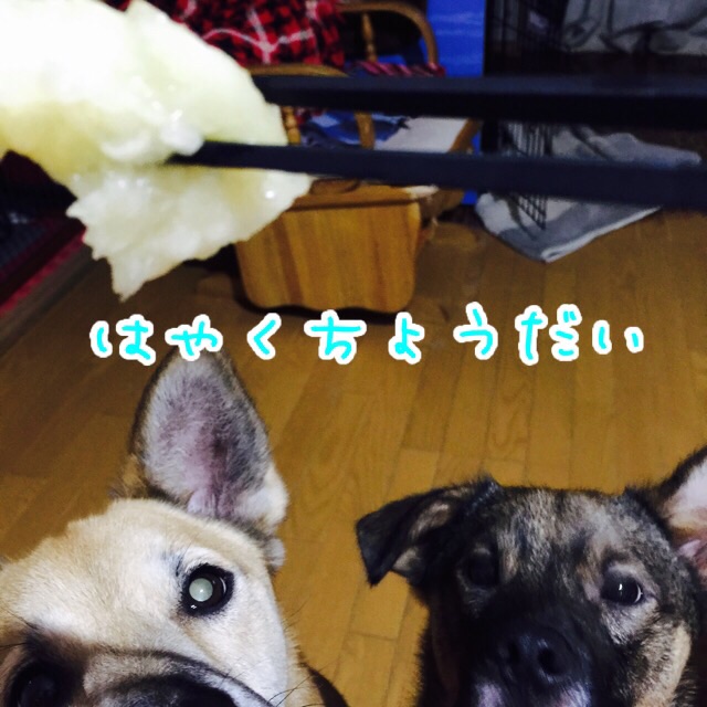 a0322483_22524327.jpg
