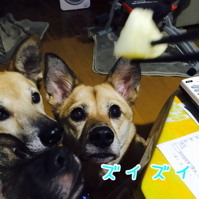 a0322483_22534716.jpg