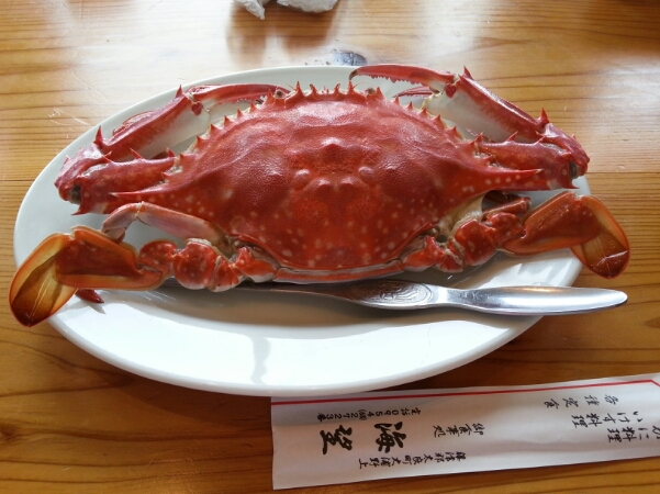 f0183484_19221258.jpg