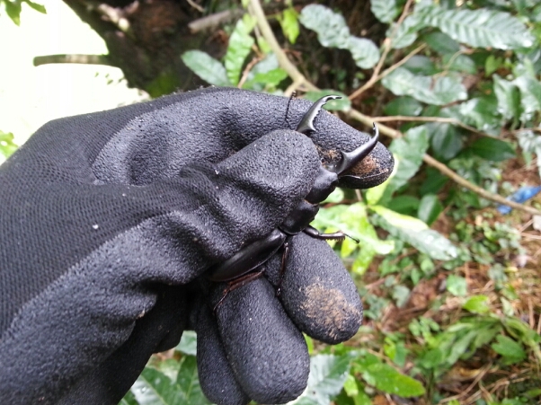 f0183484_19224480.jpg