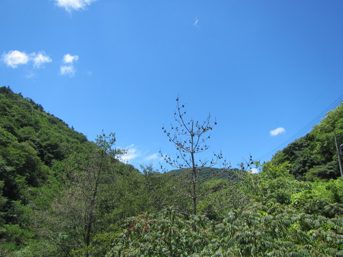 a0251786_2026778.jpg