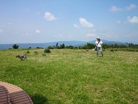 e0297387_21511850.jpg