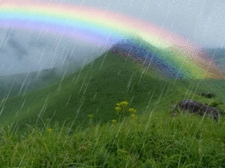 f0357487_15292654.gif