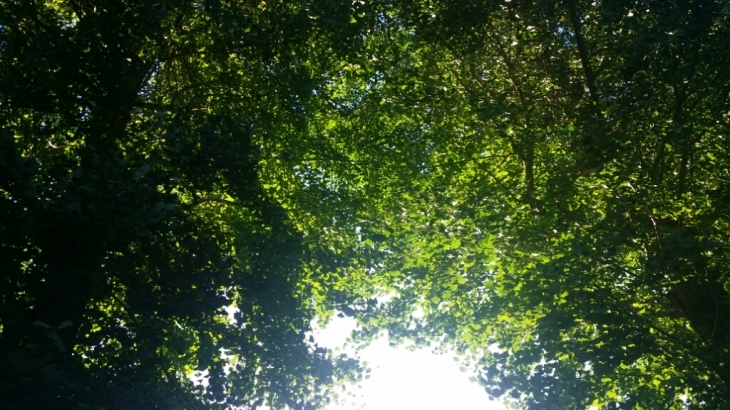 b0203599_17322480.jpg