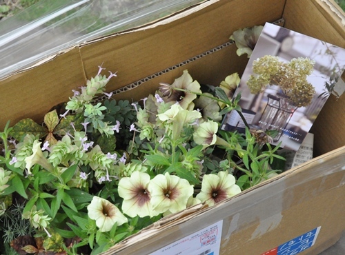 f0176499_09591681.jpg