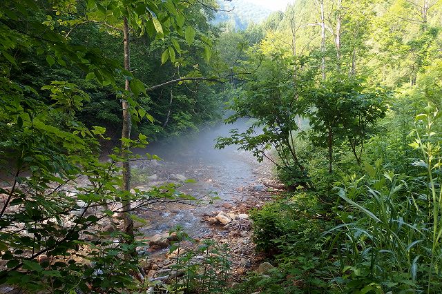 e0137200_21304310.jpg