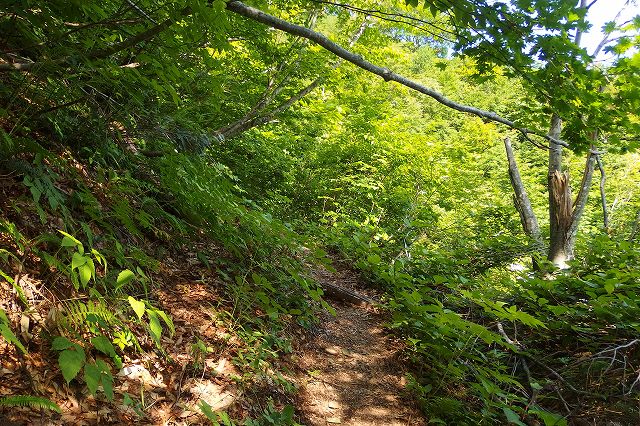 e0137200_21312996.jpg