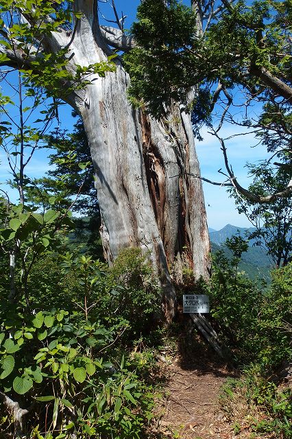 e0137200_2133157.jpg