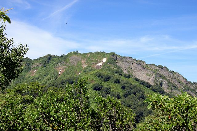 e0137200_21335428.jpg
