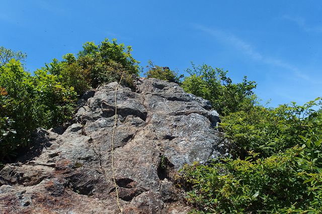 e0137200_21355568.jpg