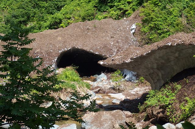 e0137200_21402811.jpg