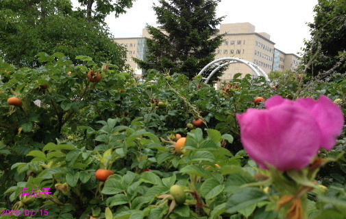 a0337807_20215920.jpg