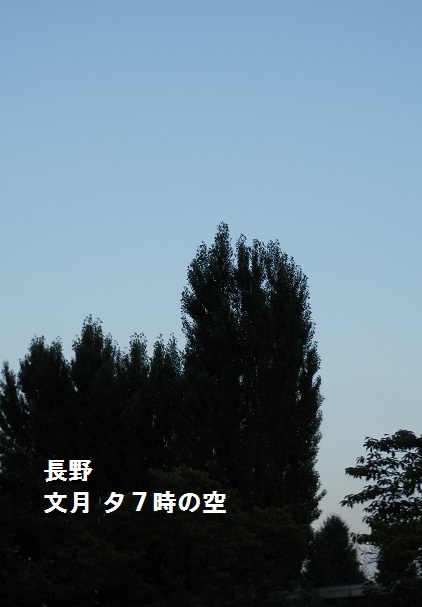 e0347508_8115887.jpg