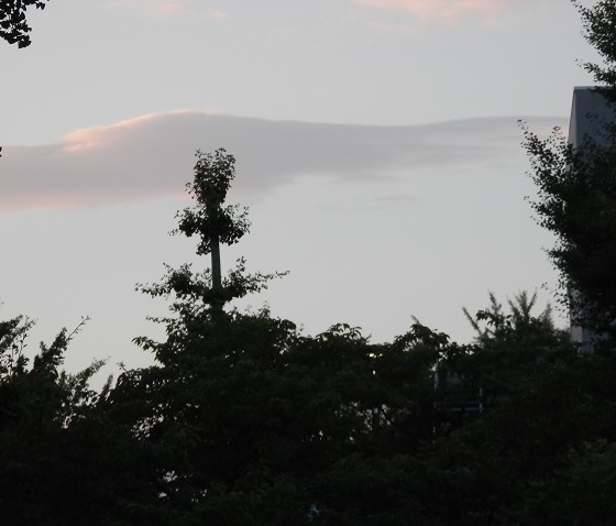e0347508_8124942.jpg