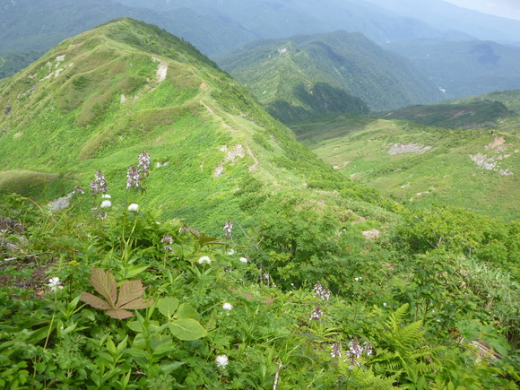 d0170615_17271897.jpg
