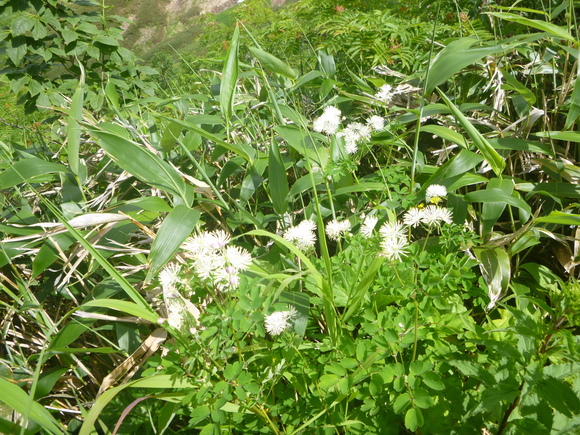d0170615_17273049.jpg