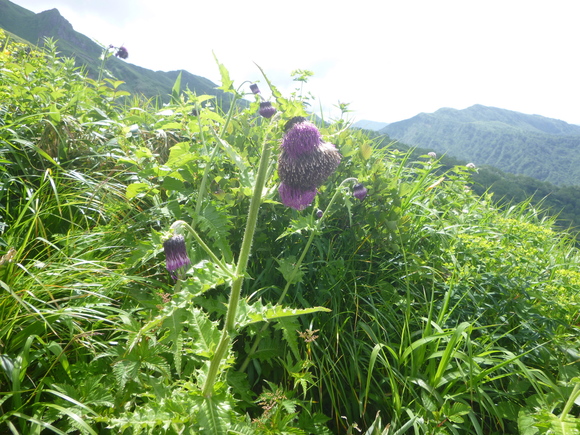 d0170615_17281774.jpg