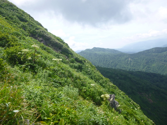 d0170615_1729116.jpg
