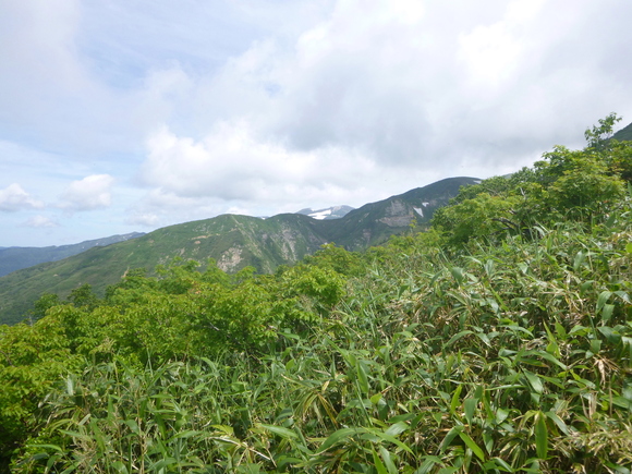 d0170615_1729214.jpg