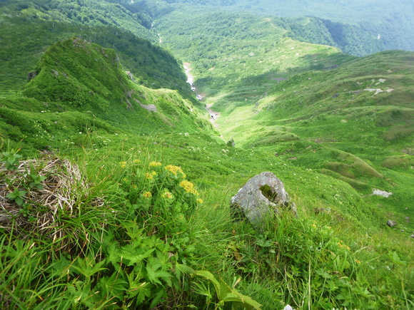 d0170615_17303817.jpg
