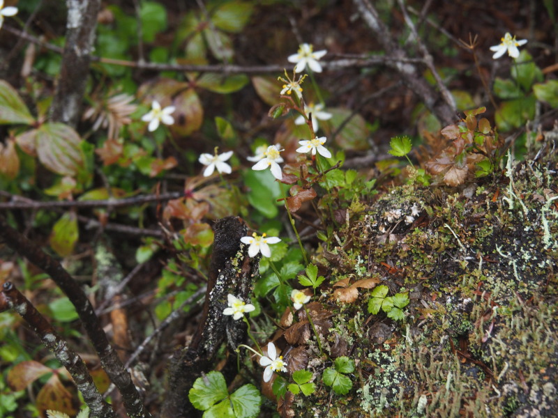 f0330321_22304175.jpg