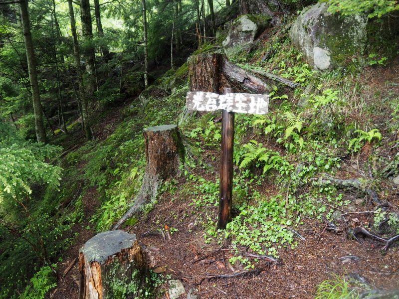 f0330321_22321084.jpg