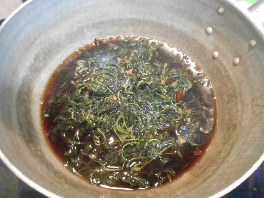 a0095931_14132085.jpg
