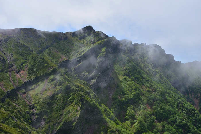 b0236334_823361.jpg