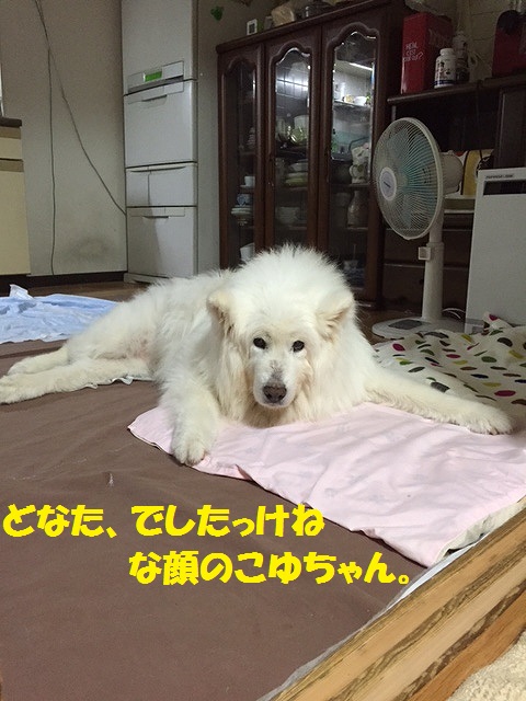 e0196135_1028334.jpg