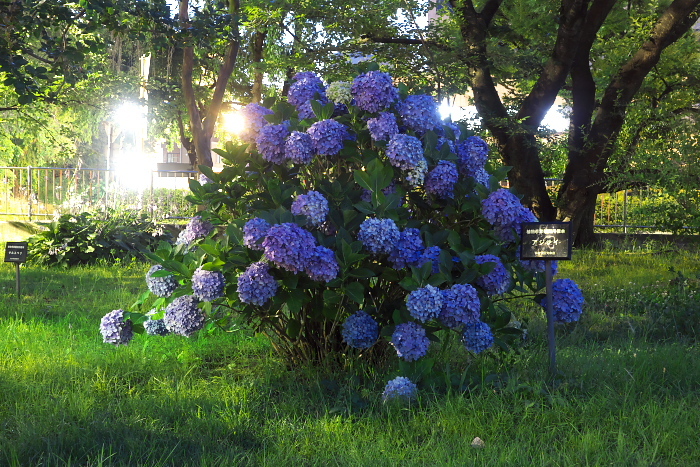 c0180845_00133939.jpg