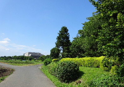 e0172950_20133270.jpg