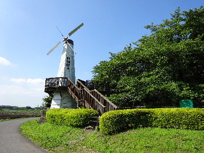 e0172950_2013465.jpg