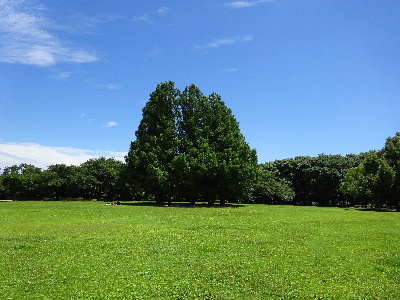 e0172950_20141742.jpg