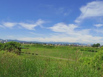b0220251_19435564.jpg