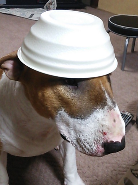 c0073152_22413889.jpg
