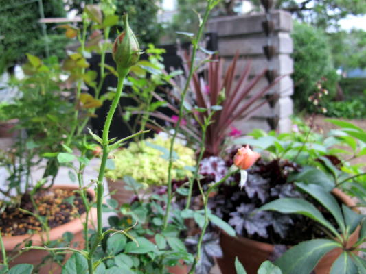 c0147952_022432.jpg
