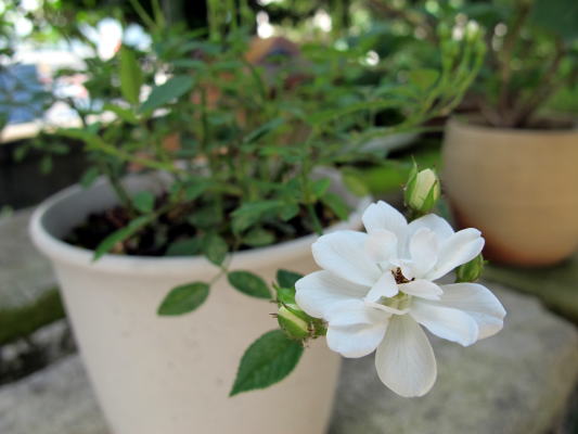 c0147952_023290.jpg