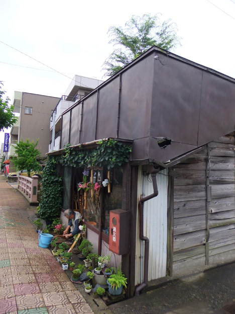 d0095673_17435548.jpg