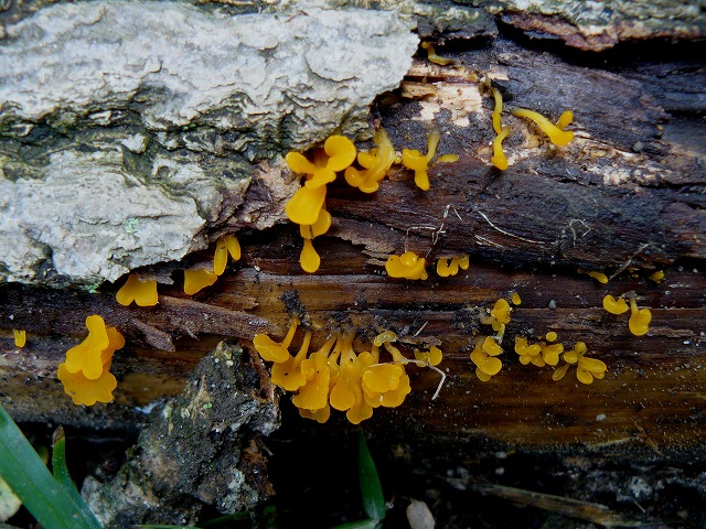 d0019074_8194240.jpg