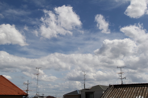 e0154682_23073753.jpg