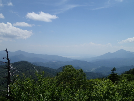a0279883_00234123.jpg