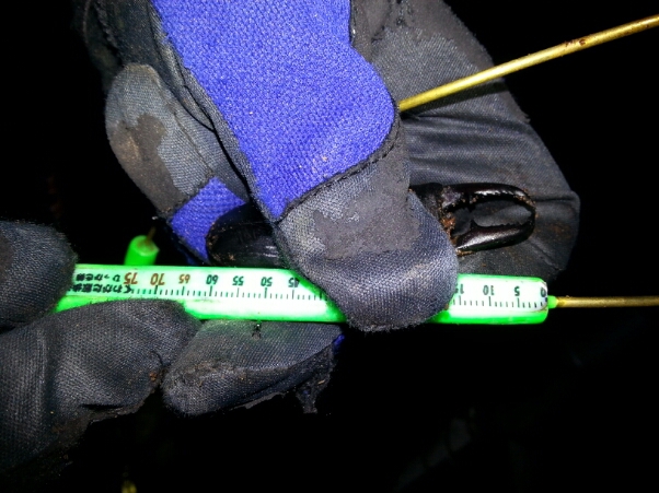f0183484_6492359.jpg