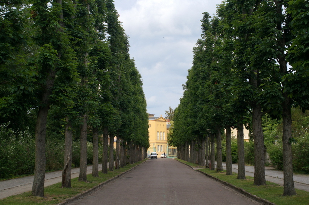 c0180686_00290931.jpg
